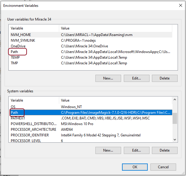 Environment Variable