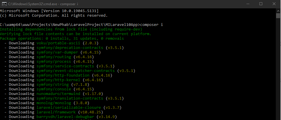 Composer Install