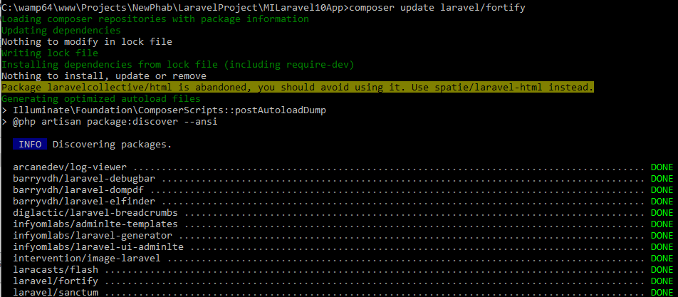 Update Specific Package